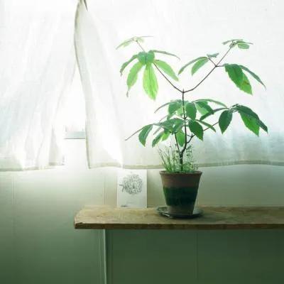 什么是代沟原版,什么是代沟的深层含义