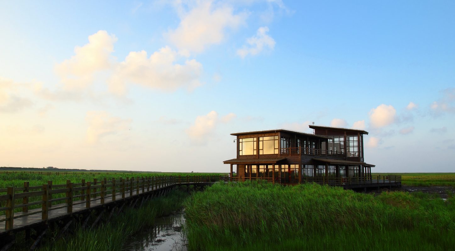 上海崇明乐享,不出上海感受宁静走进崇明享受