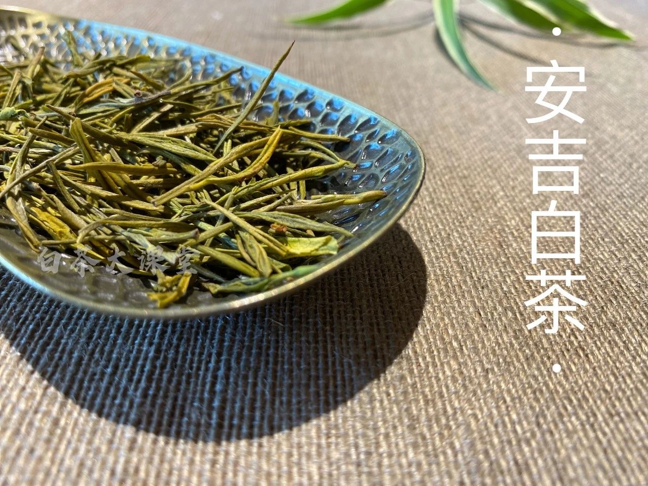 安吉白茶是六大茶类的白茶吗,六大茶类安吉白茶是什么