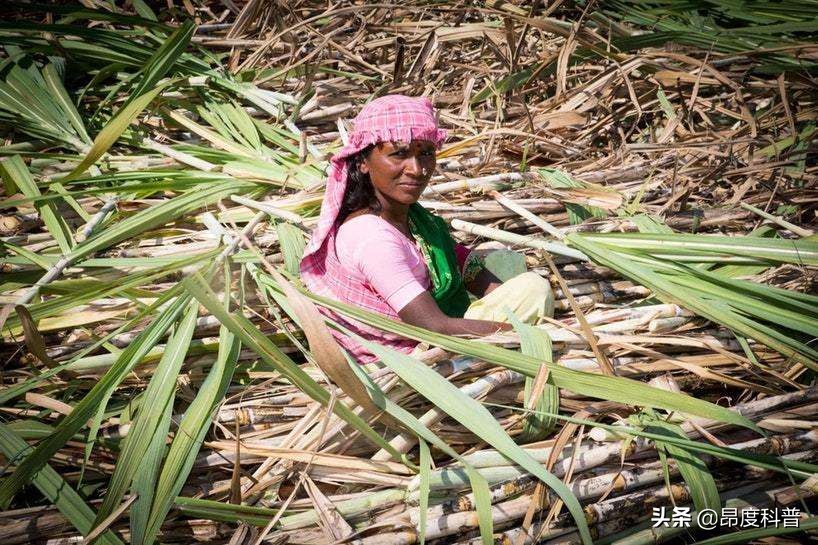 印度无子宫妇女村,印度为怀孕6个月女子剖腹