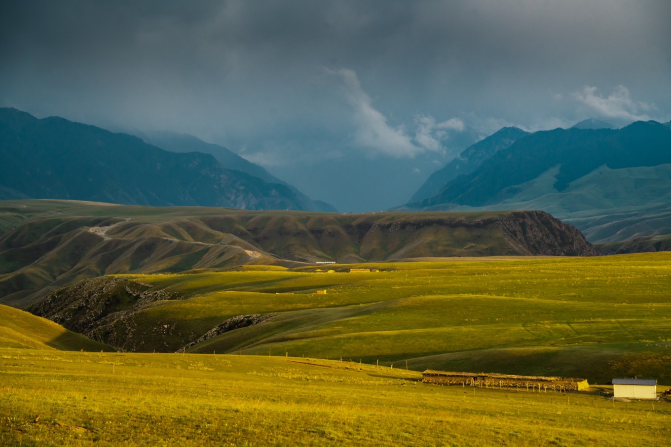 新疆伊犁之美,走了一圈才发现世界万物远不及你