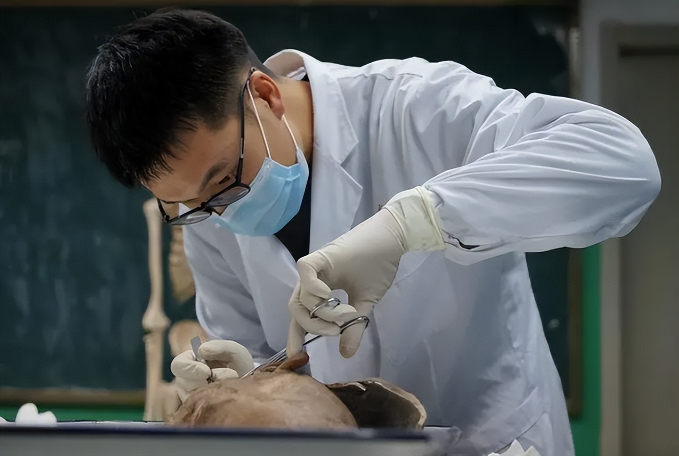 人体遗体捐献做标本有没有补偿,标本制作师工作