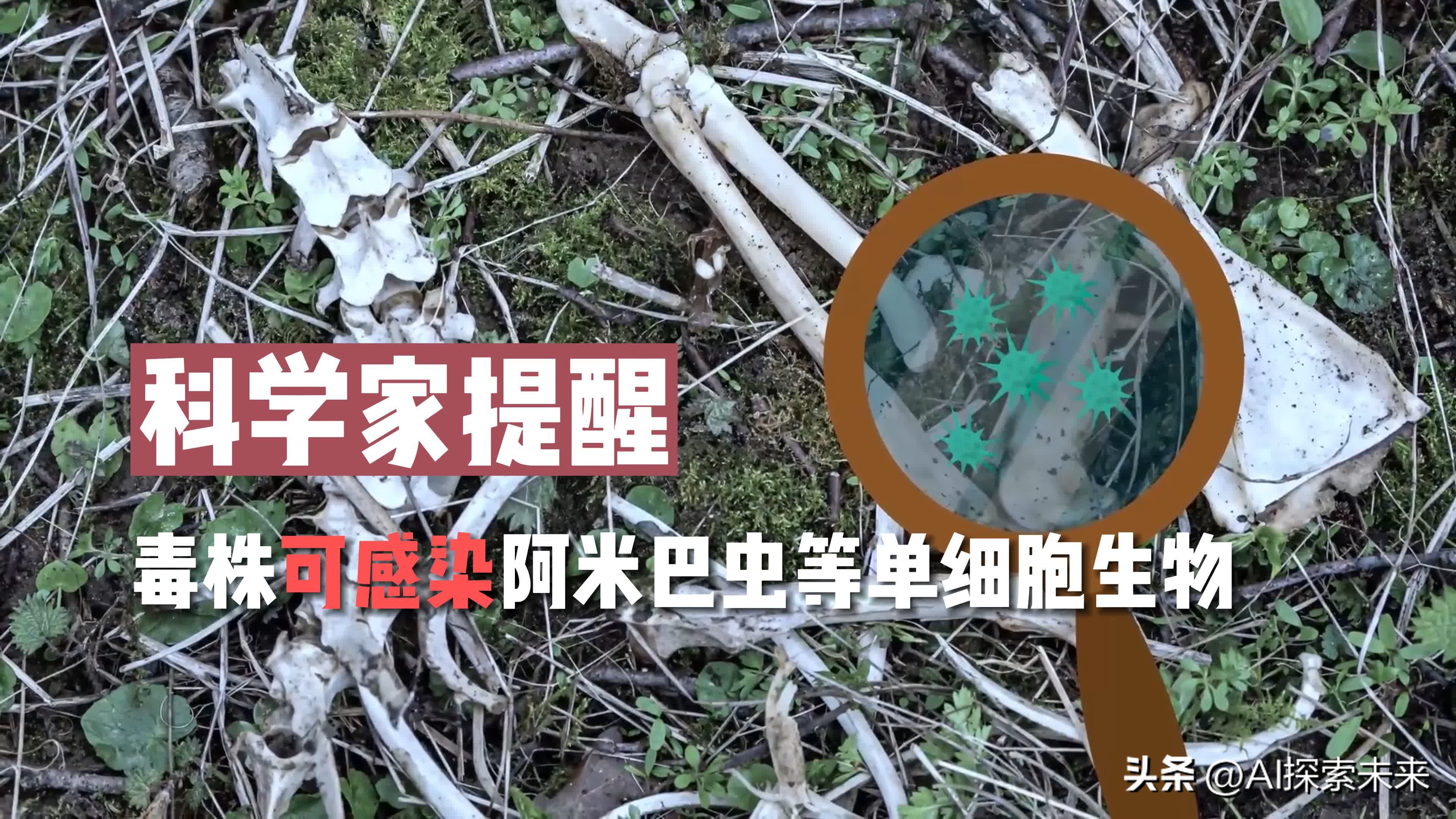 潘多拉病毒是怎么形成的,潘多拉病毒是几年前灭绝的