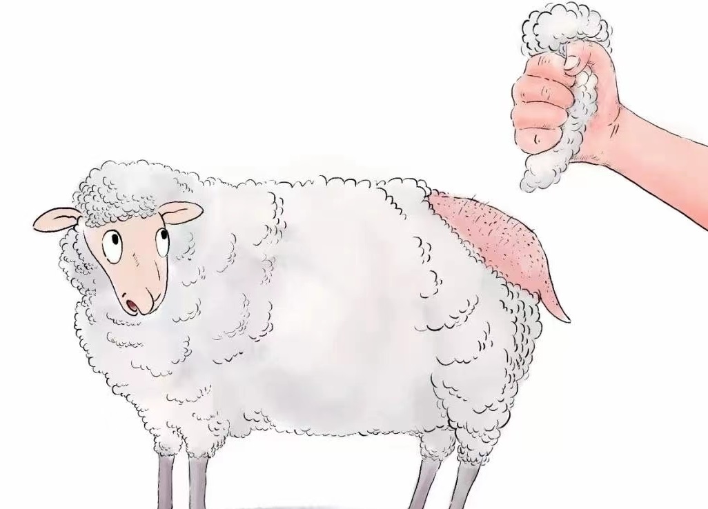 薅美团的羊毛可耻吗,薅美团羊毛犯法吗