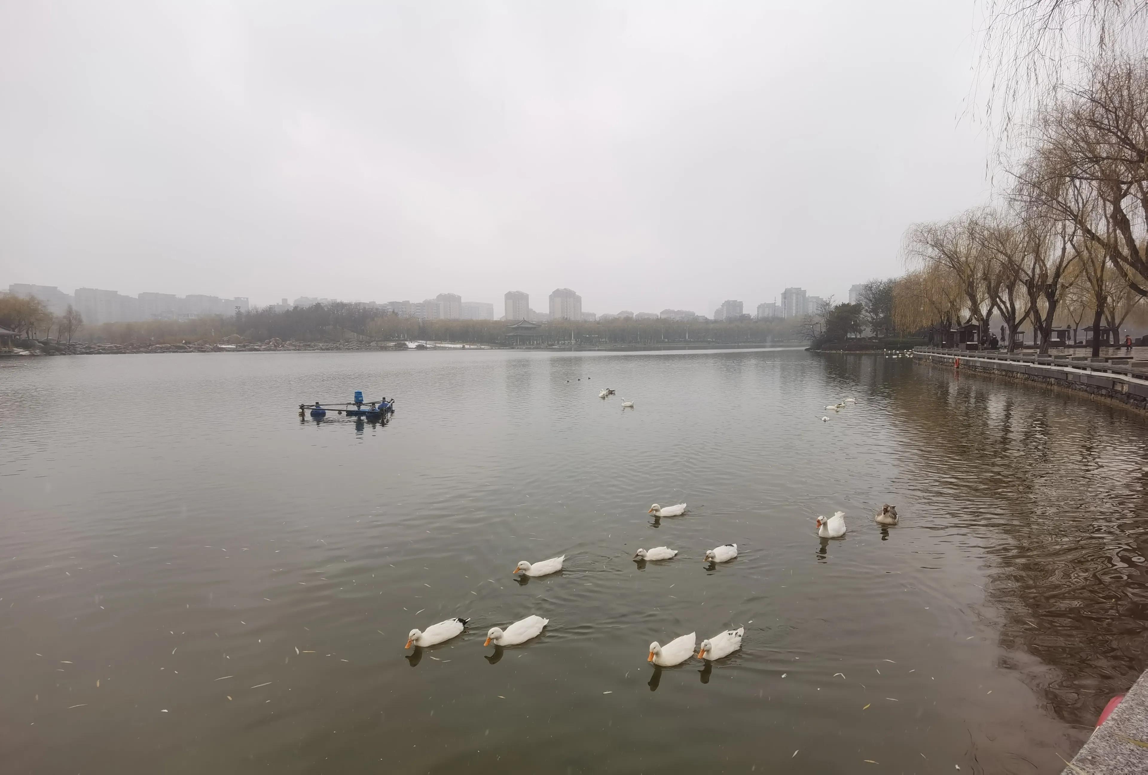 冬雪歌曲,冬雪原唱