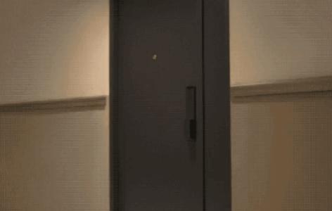 双11该买什么好物 (双11购物车必备清单)