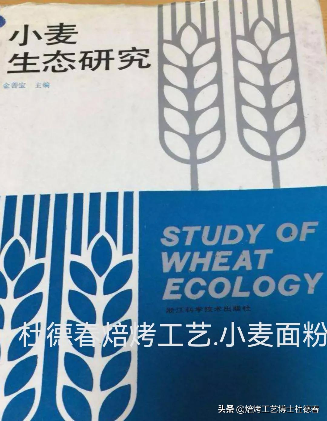 做面包饺子用什么面粉,做水饺馒头用什么面粉最好