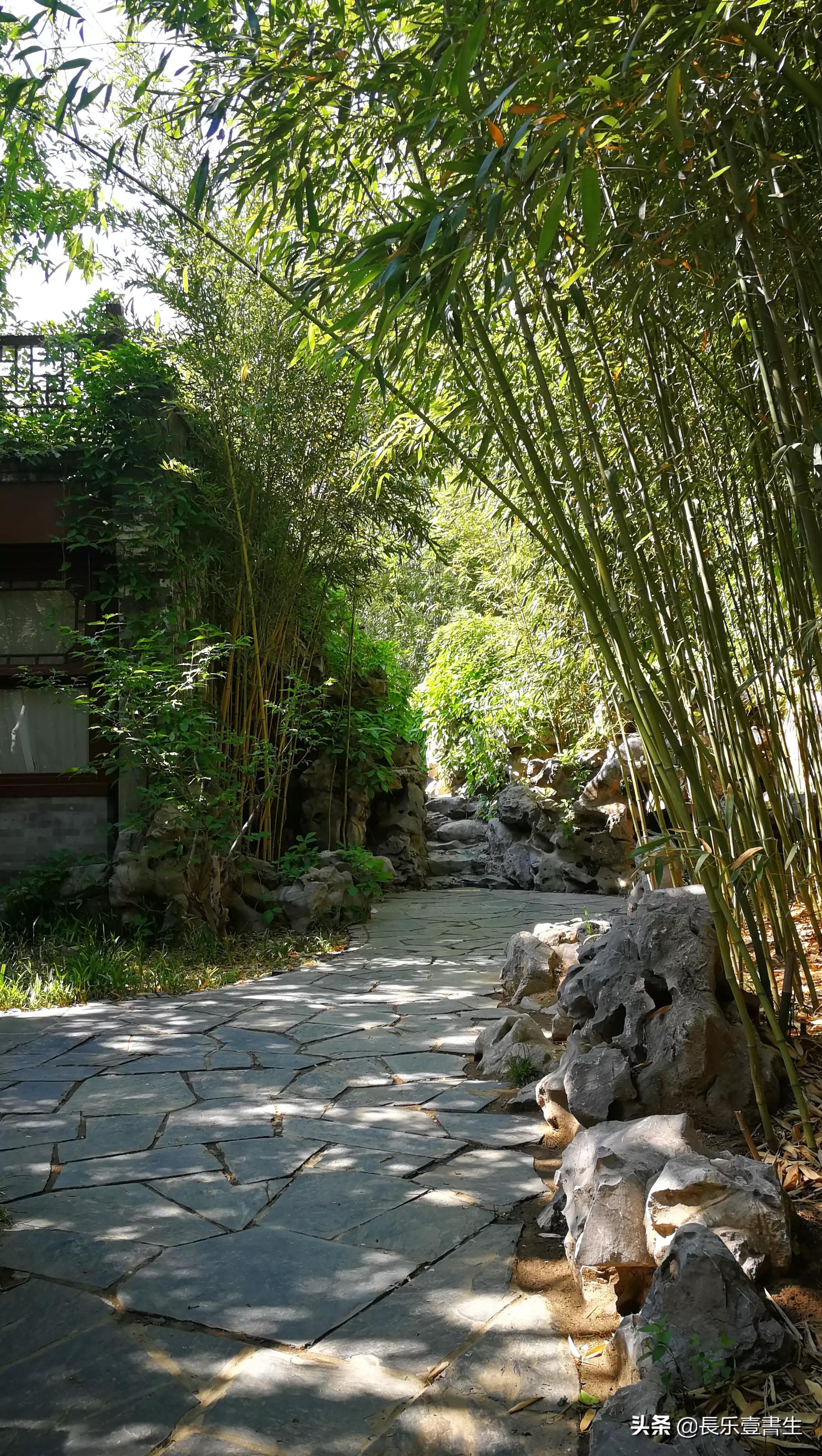 中国园林博物馆游览时间表,小众游玩强烈推荐北京园林博物馆