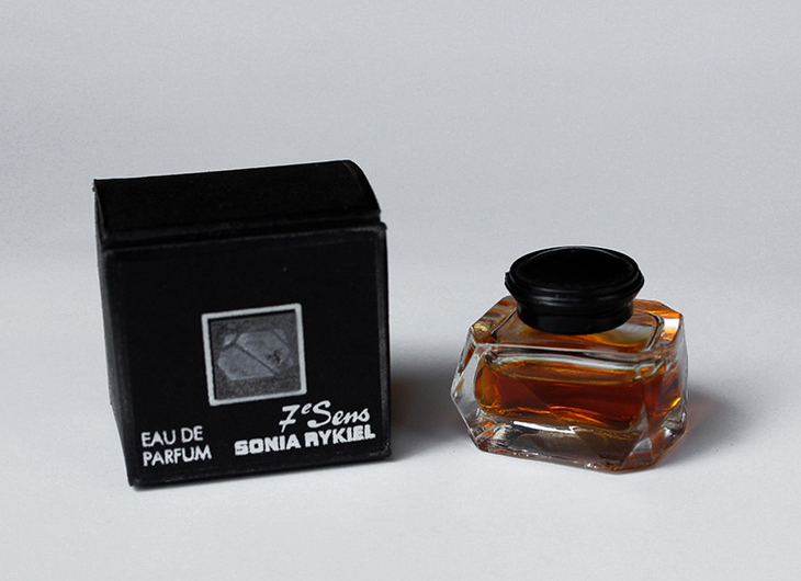 小灵猫深圳,深圳小灵猫