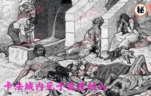 成吉思汗时期蒙古铁骑,成吉思汗蒙古铁骑