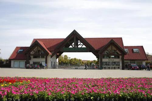 上海遛娃好去处周末亲子时光,上海有哪些值得遛娃的地方