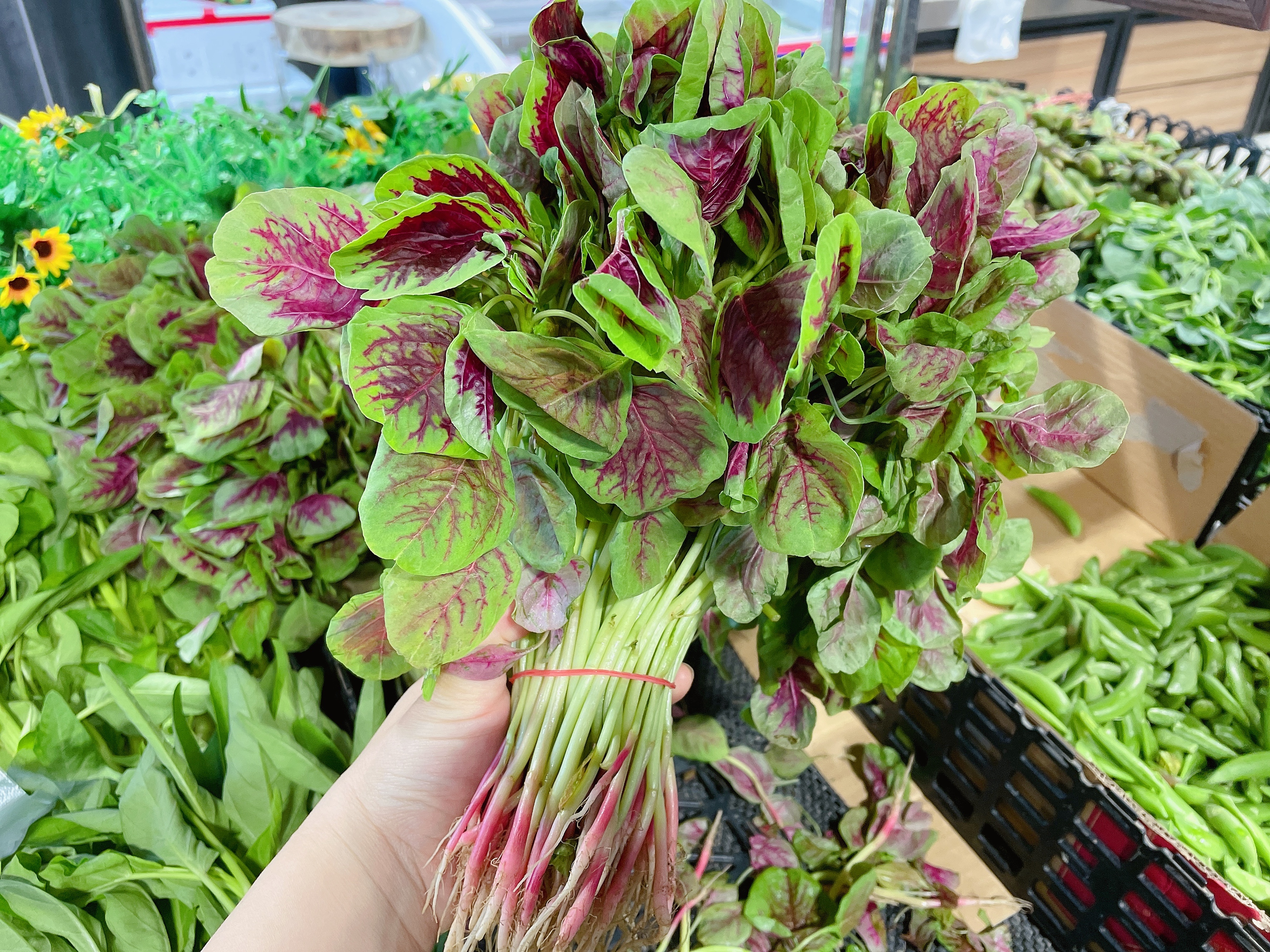 中老年钙片补钙效果最好,成人春季补钙什么钙片最好