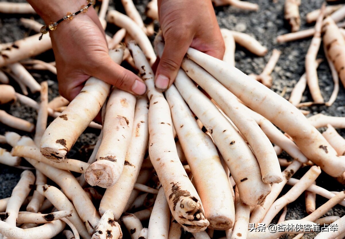 贫血吃红枣桂圆和什么,贫血吃中药好得快吗