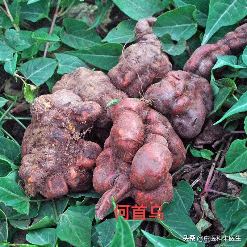 这些食疗法都是骗人的千万别信,三个民间偏方不可信