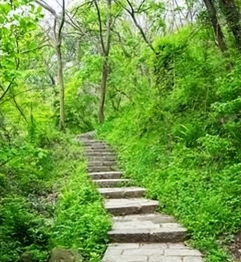 青春岁月知青往事,农村知青青春往事