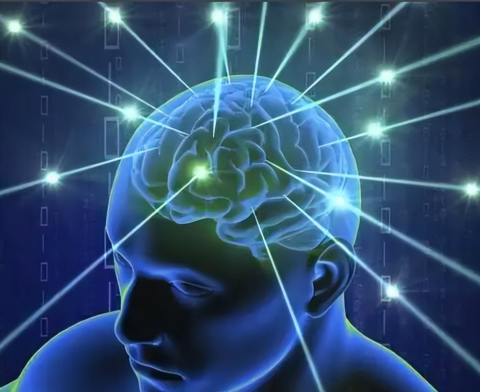 蚊子有嗅觉和味觉吗,蚊子如何麻痹痛感