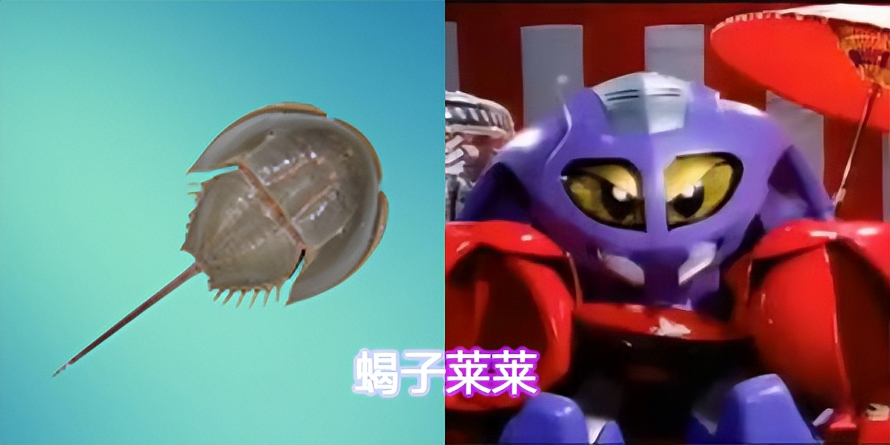 铁甲小宝里有哪些机器人,铁甲小宝中所有机器人图片