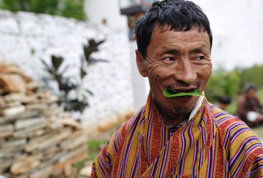 槟榔的危害的近年来数据,槟榔危害到底有多恐怖