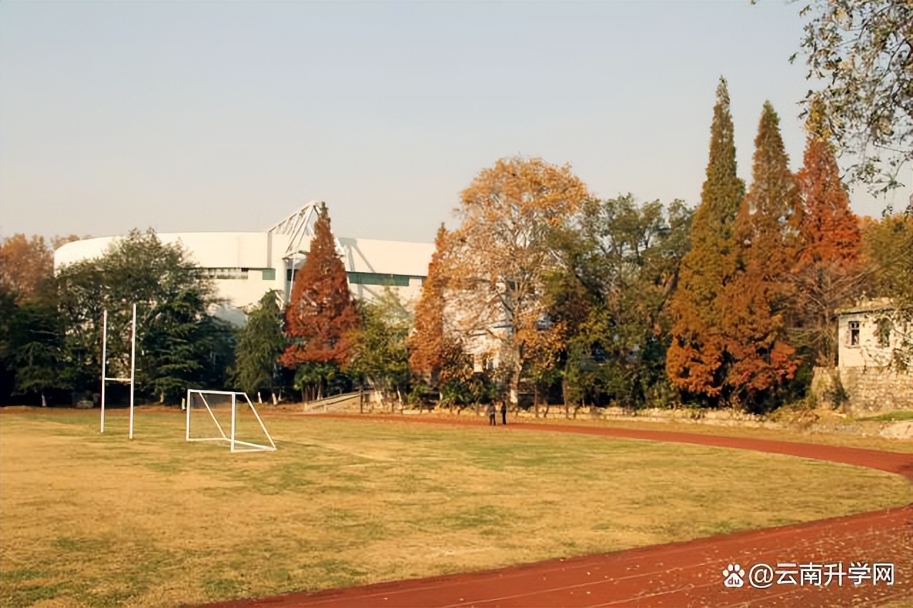 南京体育学院冠军名单,南京体育学院冠军之路