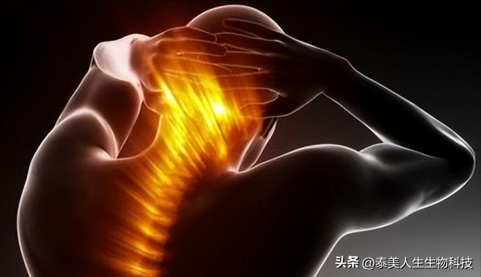 干细胞脊髓损伤治疗图片,干细胞治疗脊髓损伤临床案例