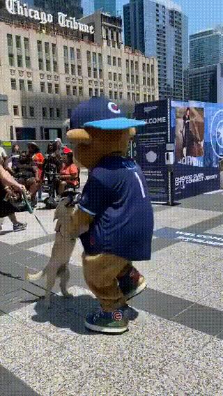 和小姐姐见面送什么礼物,和小姐妹一起送神兽归笼