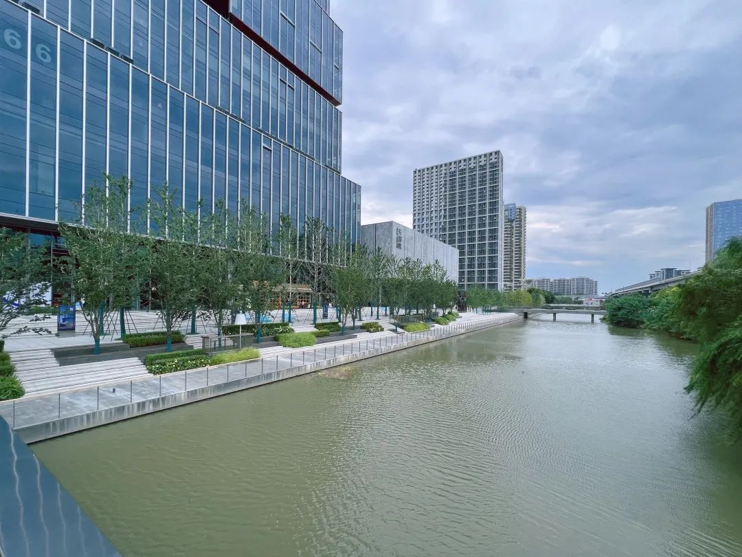 良渚万人摇四兄弟，发行价止跌？|房叔说No.704