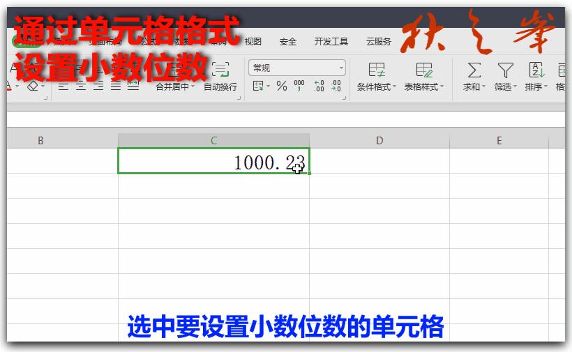 自学WPS表格12：数据输入与编辑（二）