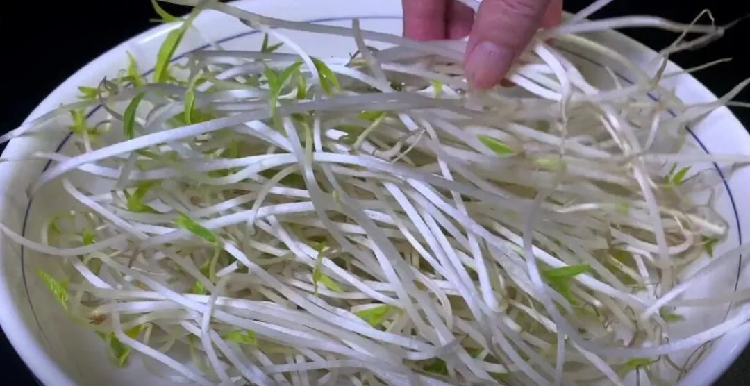 祛湿气的下饭菜,湿气太重吃最好的菜是什么