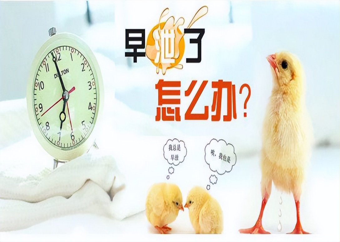 治疗阳痿遗精的中成药,治阳痿早泄遗精中药有哪些