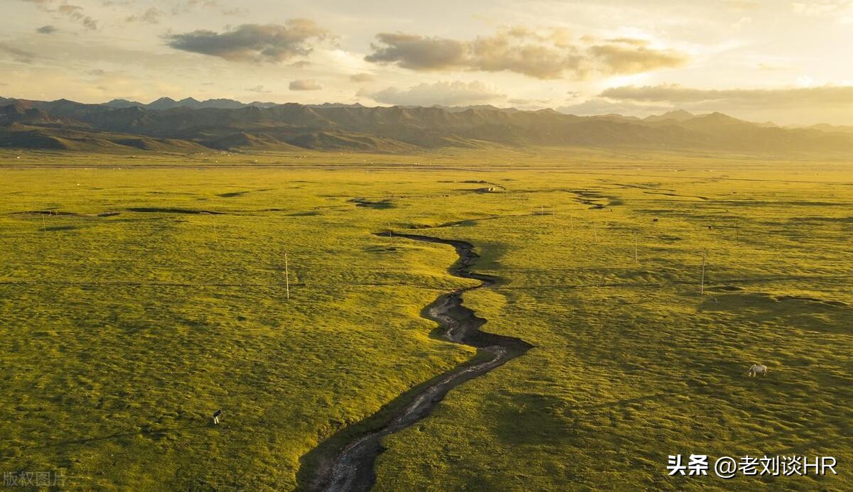 自购省钱分享赚钱模式,自用省钱分享赚钱项目