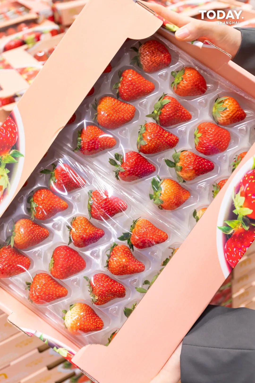 上海麦德龙购物全攻略,上海麦德龙会员店十大必买