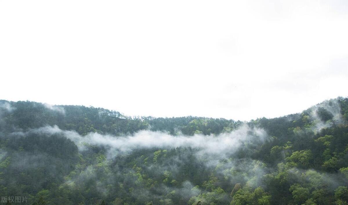 台湾冬季旅游攻略,台湾旅游攻略冬季