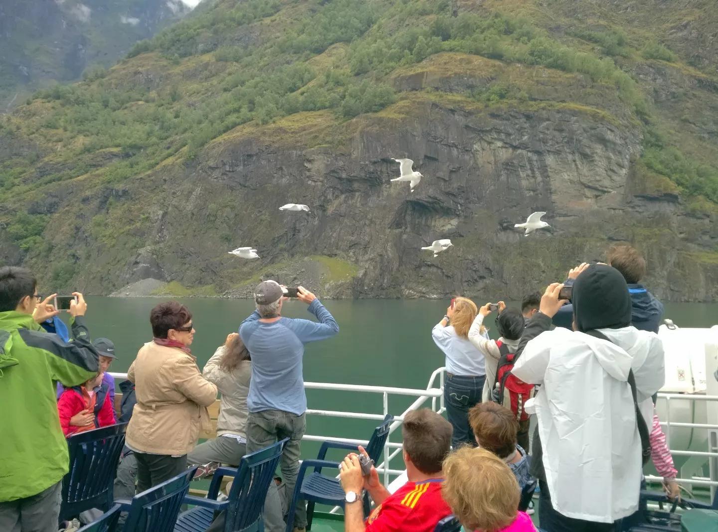 挪威为什么不加入欧盟,挪威为什么没加入欧盟