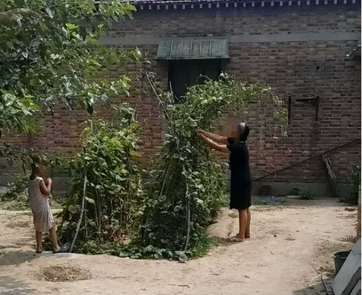 河北女孩高考707分进北大,河北小姑娘考上北大707分