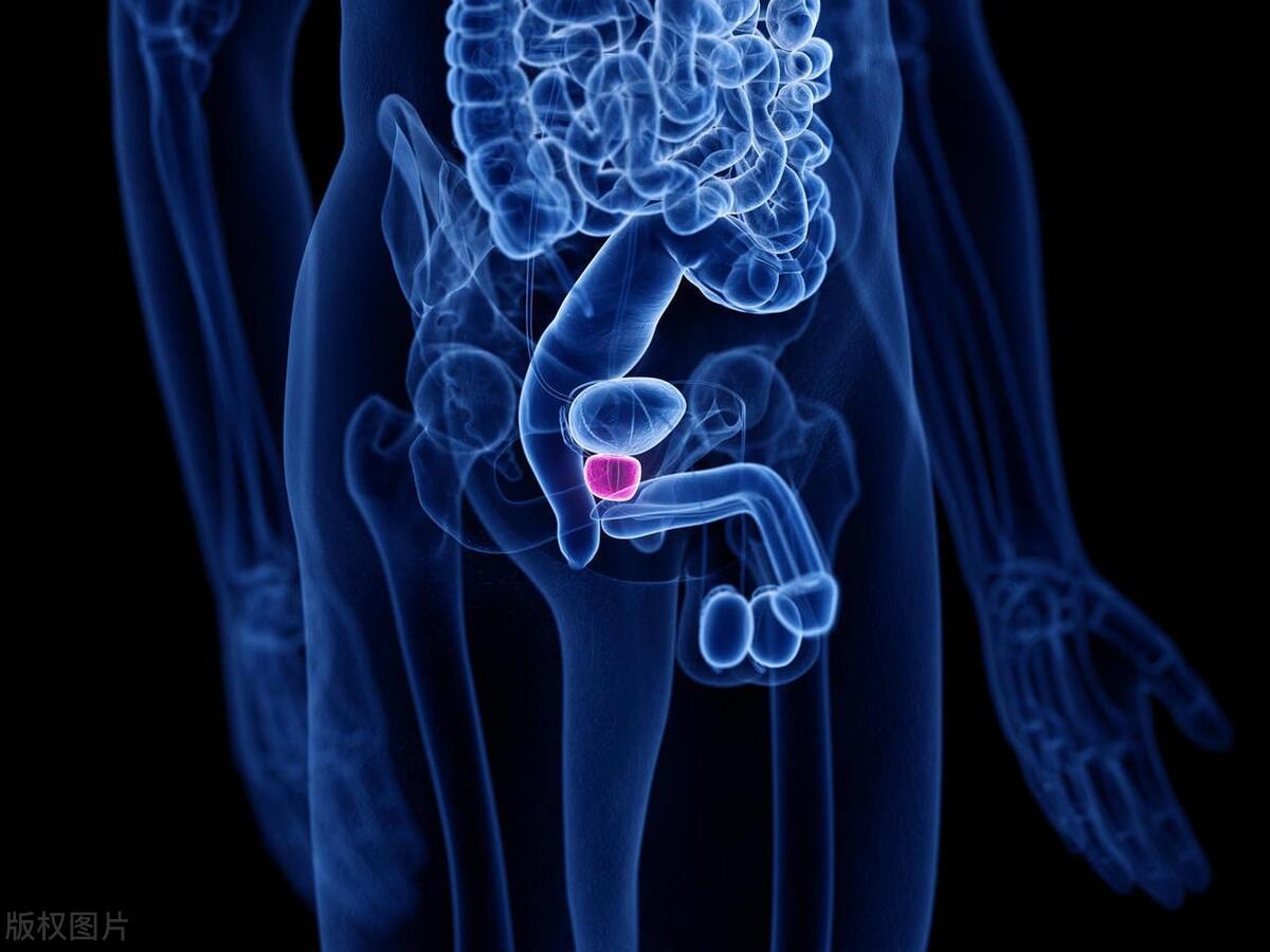 痔疮手术和前列腺有关系吗,检查痔疮时会检查前列腺吗