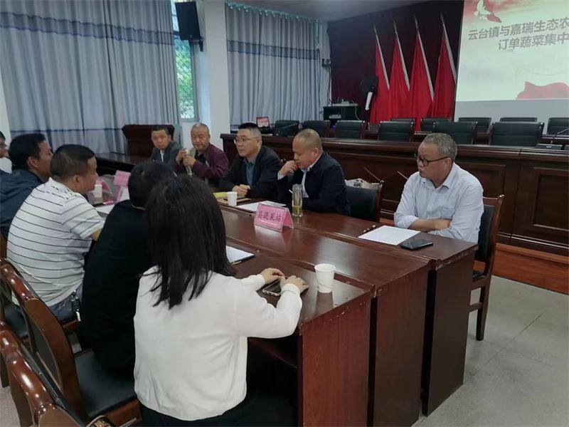 平昌云台镇引进种植订单蔬菜让百姓“零风险”大把赚钱
