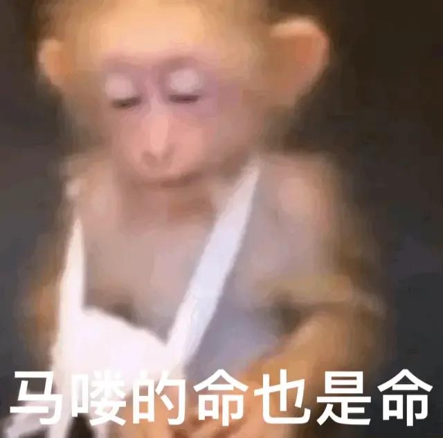 轻轻敲醒沉睡的心灵表情包高清,轻轻敲醒沉睡的心灵表情包