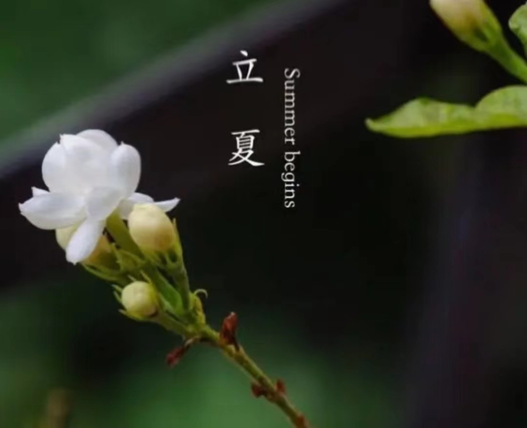 闰年闰月24节气怎么算出来的,二十四节气是什么人发明的