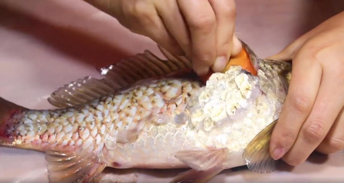 刮鱼鳞原来这么简单，只需一个塑料袋，不飞溅不脏手，又快又干净