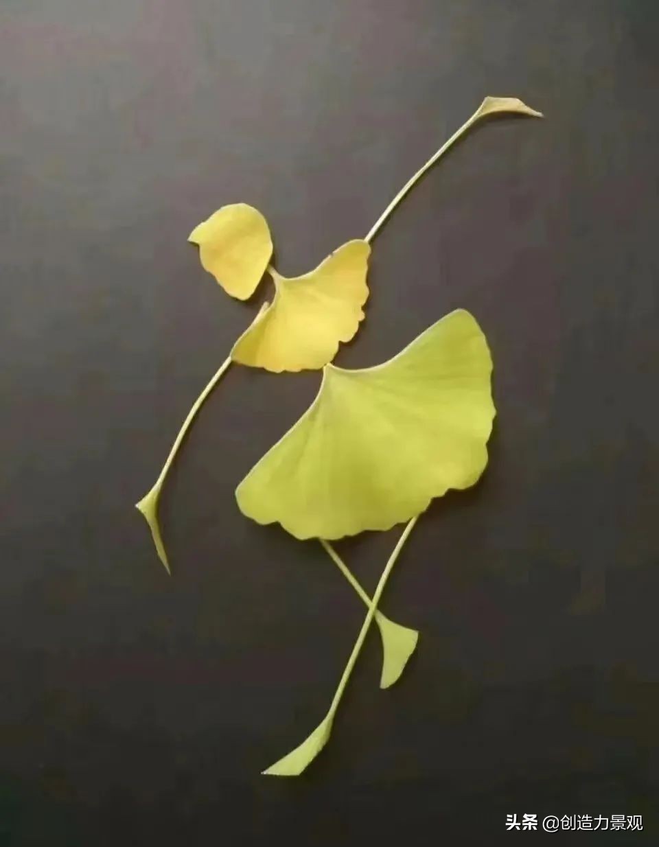 一花一草一世界原创花草,一花一草一世界赏花享受最好时光