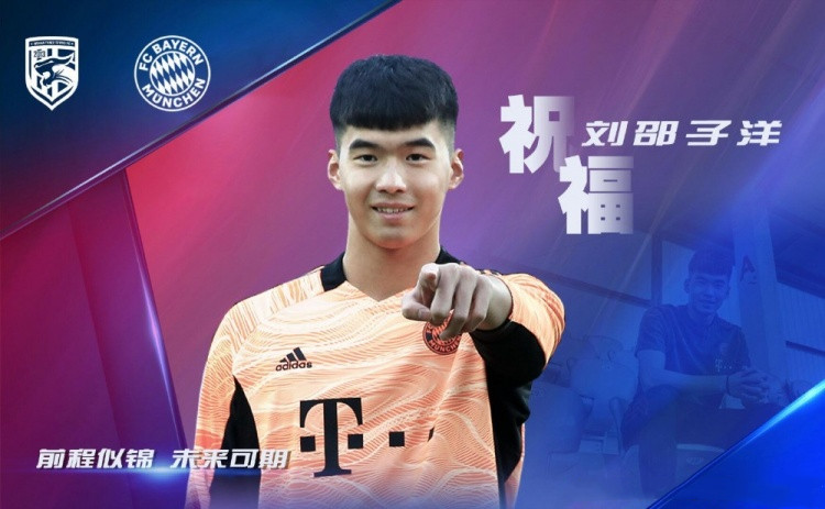 足球小将若林,足球小将全国大赛若林回归