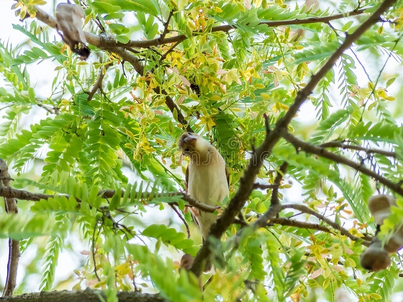 奶制品补钙是否正确,奶制品是补钙的最佳选择
