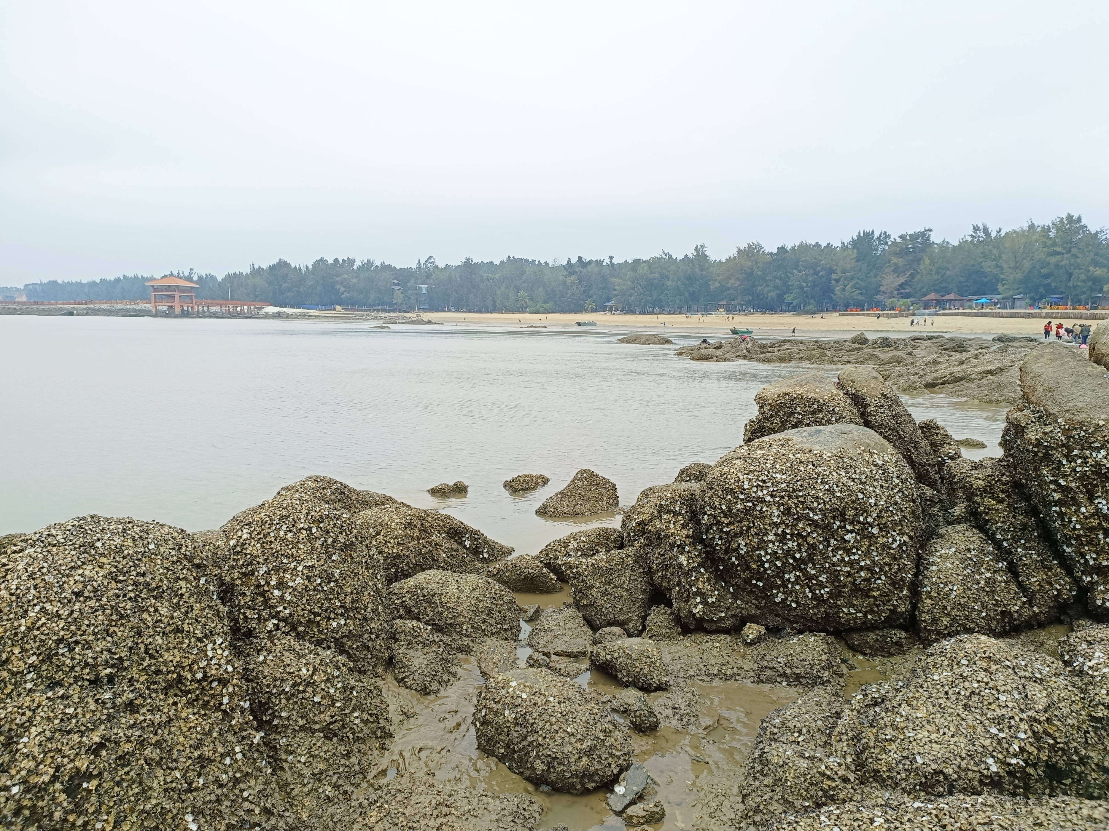 右手端啤，就着海风，喝到微醺