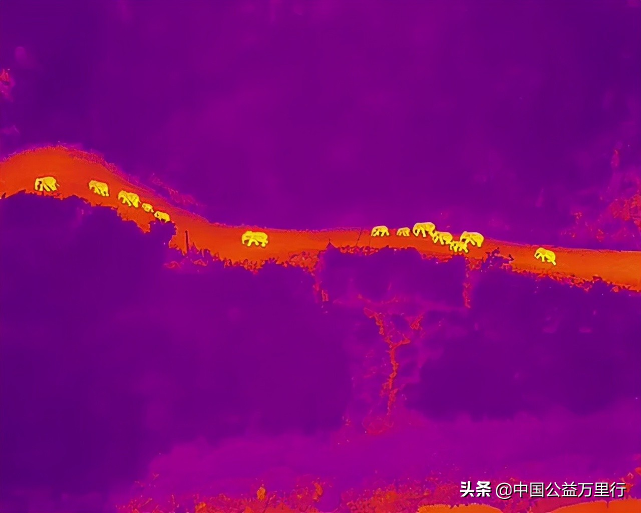 2021鎱堝杽鍏泭鍗佸ぇ鏂伴椈,2021鍏泭鎱堝杽鍗佸ぇ鏂伴椈