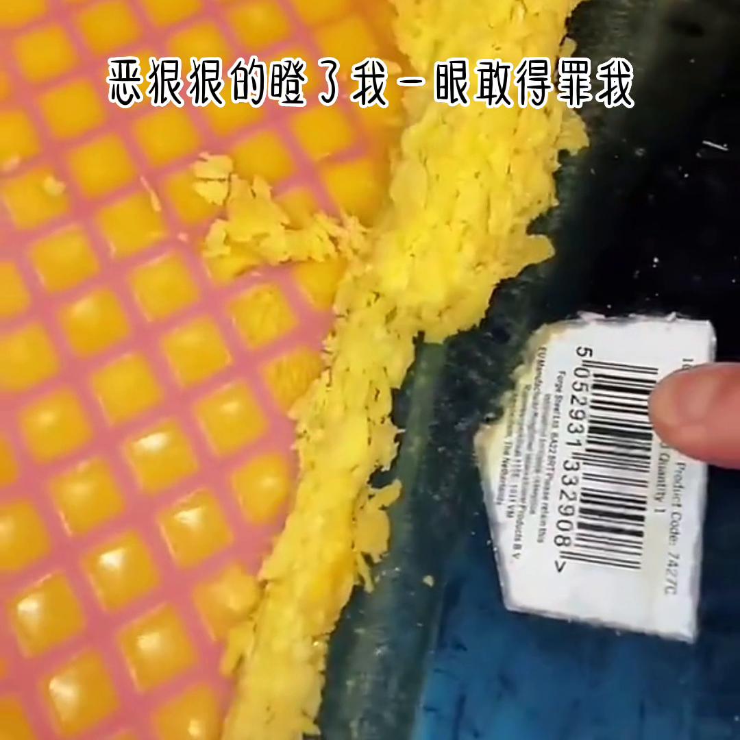 退圈后我靠算命爆红了,退圈后我暴富了小说