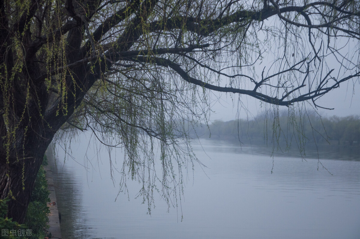 风吹杨柳万千条打一动物,风吹杨柳万千条解析
