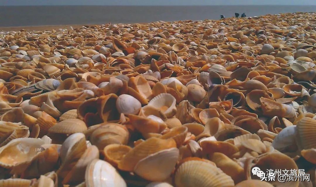 滨州的历史变化,滨州的历史来历