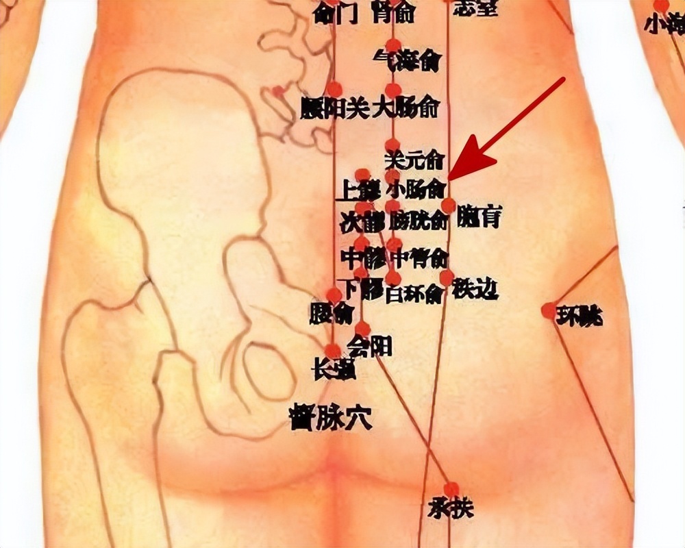 压力性尿失禁全攻略,压力性尿失禁最新指南