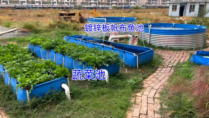 镀锌板养殖帆布鱼池厂家高效高密度循环水养殖池鱼池帆布厂家