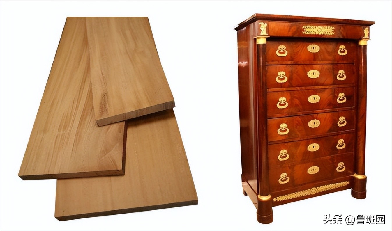 桃花心木的深度分析,桃花心木如何区别真的假的